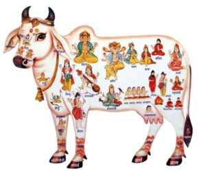 cow representing all the hindu gods